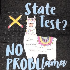 StateTest ? No Prob Llama Premium T-Shirt Medium